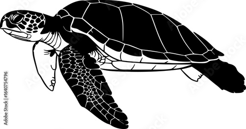 turtle, silhouette, black and white, aquatic animal, sea creature, minimalist, vector art