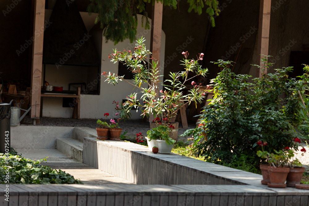 Naklejka premium Outdoor garden scene.