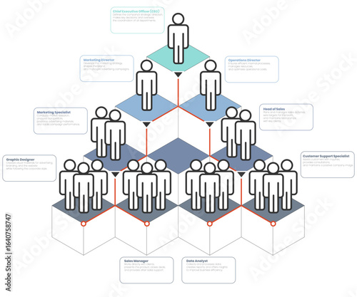 Modern 3D isometric diagram of corporate hierarchy depicting team positions, management roles, and workflow structure. Company hierarchy, staff positions, and leadership levels in business management.