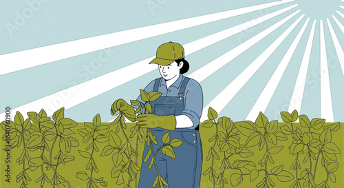 Female farmer inspecting soybean plants in field under sunny sky background design