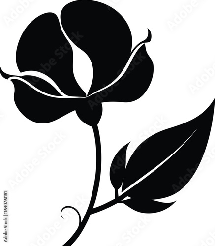 Elegant sweet pea flower silhouette in vector
