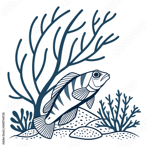 Stylized illustration of a striped fish amidst seaweed and ocean floor