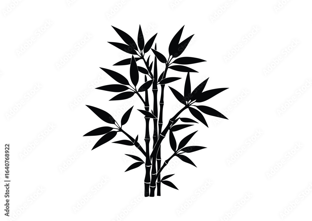Fototapeta premium Bamboo silhouette black vector white background