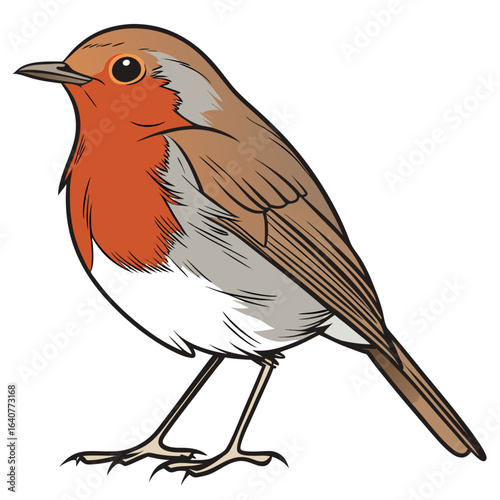Illustration of a European robin perched on an unseen surface and facing left
