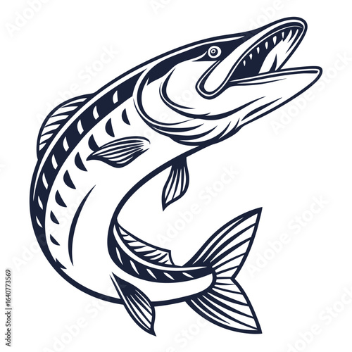 Line art illustration of a Northern Pike fish leaping upward aggressively