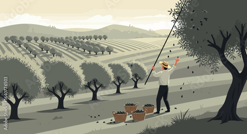 Harvest Season at Olive Tree Fields Farmer Gathering Crops Landscape Illustration
