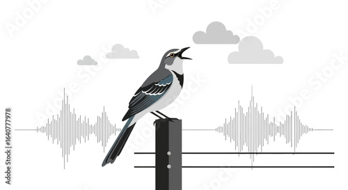 Illustration of a Mockingbird Singing with Sound Waves and Clouds on a White Background