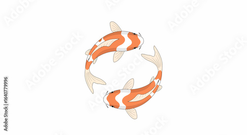 A vector graphic of two Kohaku koi carp swimming in a circular pattern, symbolizing harmony and luck