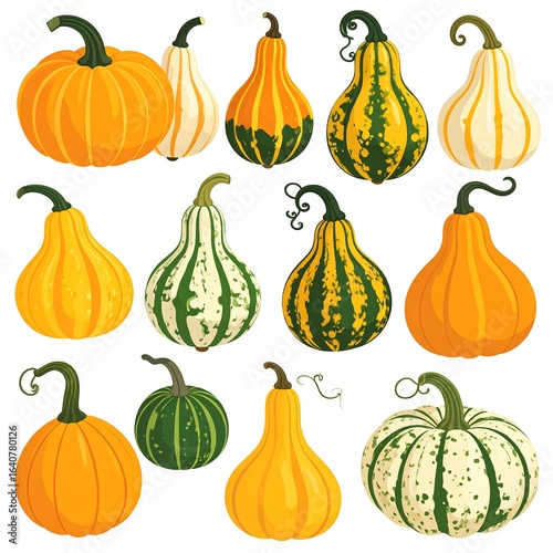 Collection of various gourds and pumpkins, different shapes, colors, and sizes, on a white background