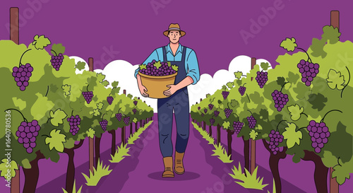 Grape Harvest In Autumn Farmer Gathering Grapes In Vineyard Orchard