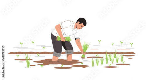 Illustration of a Farmer Planting Rice Seedlings in a Paddy Field Depicting Traditional Agriculture and Sustainable Farming Practices