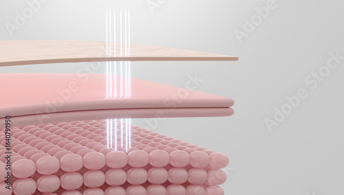 Cuadro en lienzo HIFU laser targeting SMAS layer for skin tightening and facelift 3D
