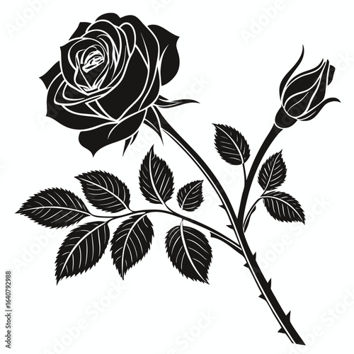 Black Rose Silhouette