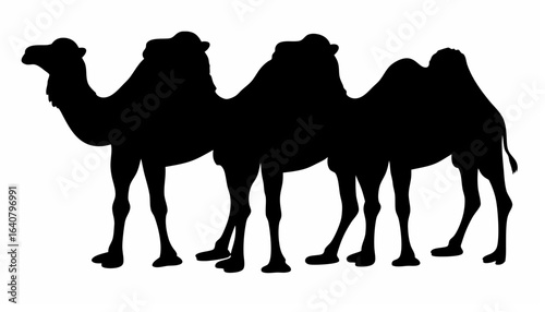 Silhouette depiction featuring a group of three camels standing side by side in a monochrome composition