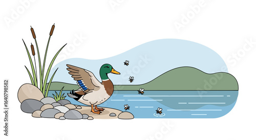 Mallard Duck Spreading Its Wings Near A Lakeside Landscape With Cattails