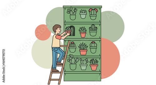 Man arranging potted succulents on a shelf using a ladder in a modern minimalist style illustration