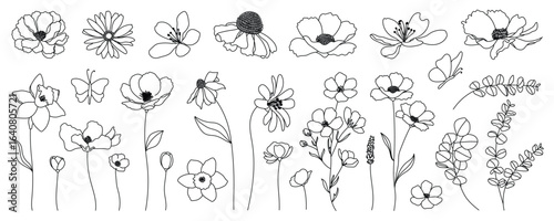 Floral and botanical doodle element vector. Set of leaf, foliage wildflowers, plants, bloom, herb and butterfly. Hand drawn of blossom spring season vectors for decor, website, wedding card and shop.