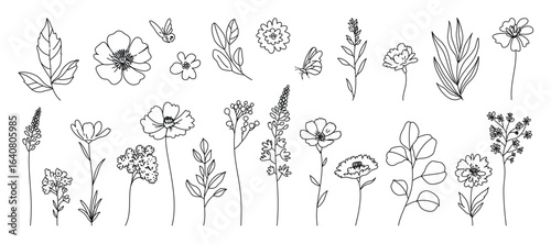 Floral and botanical doodle element vector. Set of leaf, foliage wildflowers, plants, bloom, herb and butterfly. Hand drawn of blossom spring season vectors for decor, website, wedding card and shop.