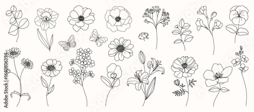 Floral and botanical doodle element vector. Set of leaf, foliage wildflowers, plants, bloom, herb and butterfly. Hand drawn of blossom spring season vectors for decor, website, wedding card and shop.