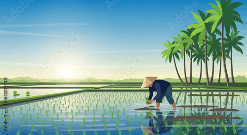 Rice Cultivation In Tropical Landscape At Sunrise Asia Agriculture Scenery
