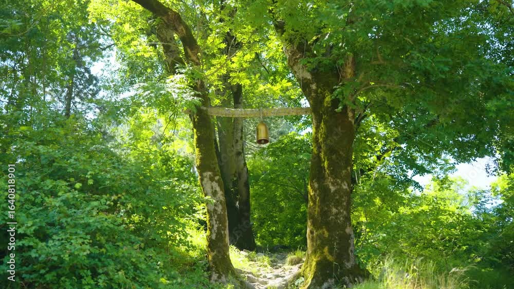Bell on the tree with path leading to the church Bell on the tree with path leading to the church