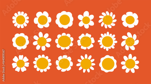 Flower blossoms set. Daisies, camomile bloom heads with white petals and yellow center. Chamomile top view. Floral decoration, design element, summer wildflower. Isolated flat vector illustrations