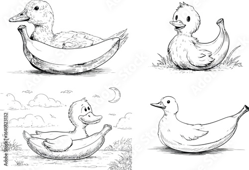 Duck, Banana Mashup, Line Art EPS