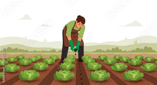 Woman Farmer Planting Lettuce Seedlings in a Field for Fresh Agriculture