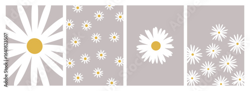 Daisy, chamomile flowers, floral card designs set. Beautiful field blossoms, camomile blooms patterns and delicate gentle petals. Wildflowers, summer nature posters. Flat vector illustration