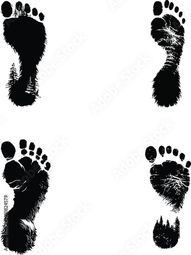 Bigfoot Footprints, Forest Imprints EPS
