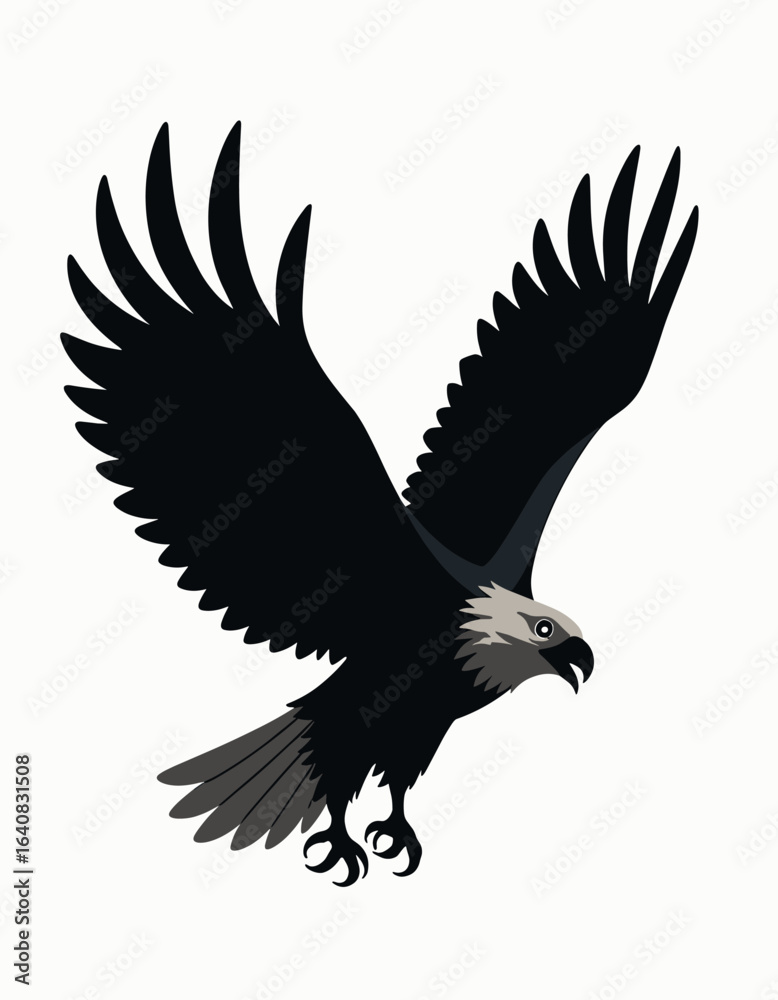 Fototapeta premium Bald eagle with detailed head and wings spread in mid-flight