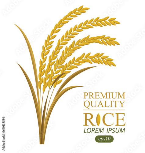 Rice. Logo design template vector illustration.