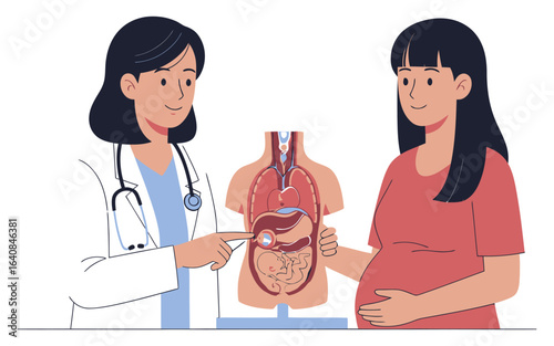 Doctor Explains Fetal Development to Expectant Mother Using Anatomical Model.