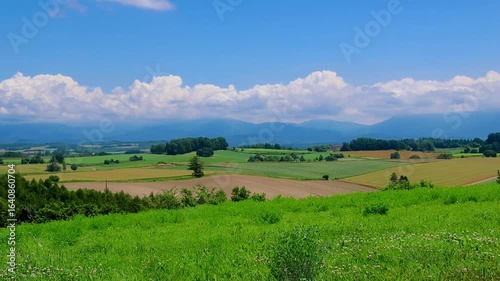 新栄の丘展望公園（北海道・美瑛町）