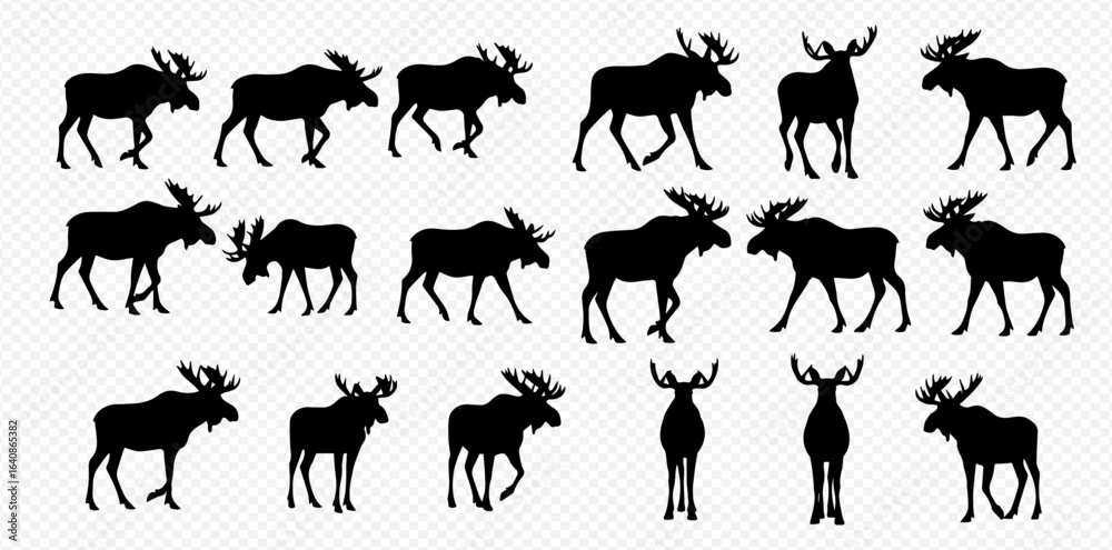 Fototapeta premium A collection of black moose silhouettes in various poses, including walking, standing, and running, isolated on a transparent background.