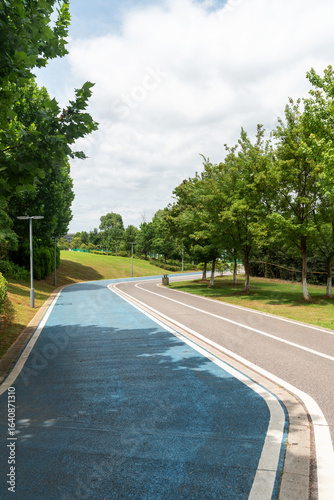 Wallpaper Mural New pathway and beautiful trees track for running or walking and cycling relax in the park Torontodigital.ca