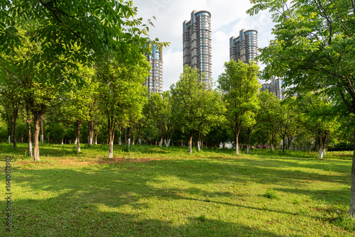 Photography city park with modern building background in shanghai