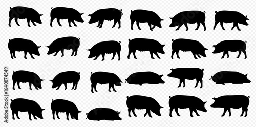 A graphic set of multiple black pig silhouettes in various poses, including standing, walking, eating, and lying down, arranged in a grid pattern.