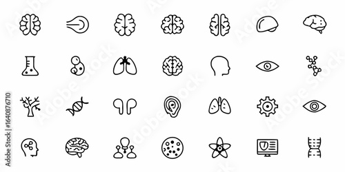 Nervous System and Brain Anatomy Line Art Icons — Minimal Neurons, Spinal Cord, Nerve Cells, Brain Lobes, and Neurology Symbols

