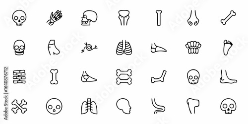 Human Skeleton and Bone Structure Line Art Icons — Minimal Skull, Spine, Ribs, Pelvis, Joints, and Orthopedic Anatomy Symbols