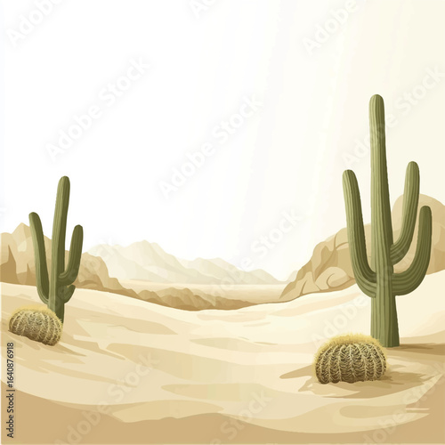 a desert with cactus