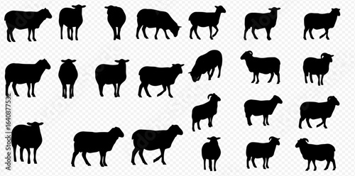 A collection of black sheep silhouettes in various poses, including standing, walking, and grazing, isolated on a transparent background.