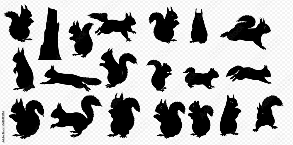 Fototapeta premium A collection of black squirrel silhouettes in various dynamic and static poses, isolated on a transparent background.
