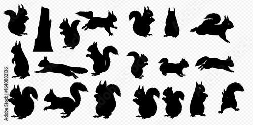 A collection of black squirrel silhouettes in various dynamic and static poses, isolated on a transparent background.