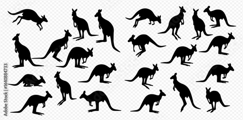 A collection of black kangaroo silhouettes in various dynamic and static poses, including jumping, standing, and hopping.