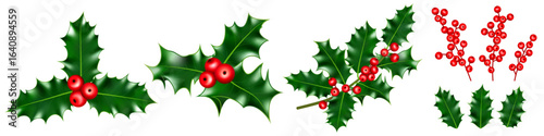 Christmas holly set, leaf, branch, red berry, ilex icon