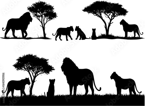 Silhouettes of lions and lion cubs outdoors
