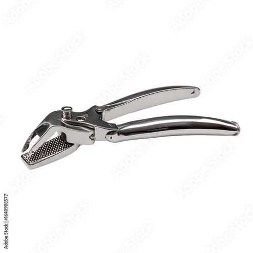 Professional polished metal garlic press tool, essential kitchen gadget for culinary enthusiasts and home chefs