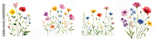 Watercolor Wildflower Border Set: Colorful Meadow Flowers on White