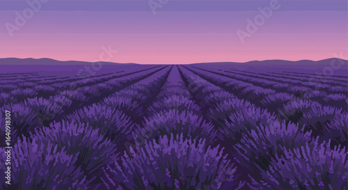 Purple lavender blooms under a vibrant gradient sky, distant mountains